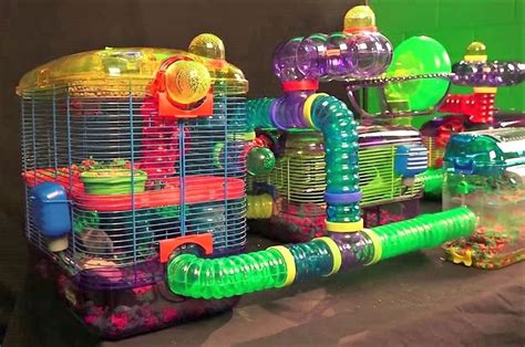 hamster cages cool|cool hamster cages with tubes.